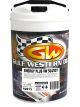 Gulf Western Energy Plus 5W-30 Engine Oil 20L