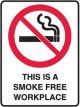 Brady Small Stick On Labels This Is A Smoke Free Workplace Vinyl