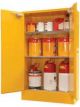 Mektronics Safety Cabinet 30Ltr
