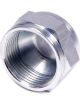 Aeroquip Fitting - Cap - 16 AN - Steel - Zinc Oxide - Each