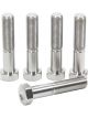 Allstar Performance Pinch Bolt 3/8-24 in Thread 1.875 in Long Hex He…