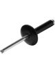 Allstar Performance Rivet Small 5/8 in Head 3/16 in Steel Mandrel 5/…