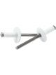 Allstar Performance Rivet Multi-Grip 9/16 in Head 3/16 in Steel Mand