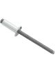 Allstar Performance Rivet 3/8 in Head 3/16 in Steel Mandrel 1/4-3/8