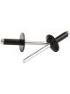 Allstar Performance Rivet 5/8 in Head 3/16 in Mandrel 1/4-3/8 in Gri