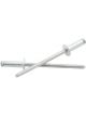 Allstar Performance Rivet 3/8 in Head 1/8 in Mandrel 1/8-1/4 in Grip