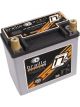 Braille Auto Battery Battery Lightweight AGM 12V 1191 Pulse Cranking Am