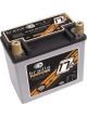 Braille Auto Battery Battery Lightweight AGM 12V 1191 Pulse Cranking