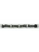 Crane Camshaft Mechanical Flat Tappet Lift 0.480 / 0.500 in Duration 2