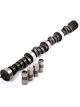 Crane Camshaft / Lifters Hydraulic Flat Tappet Lift 0.454 / 0.480 in D