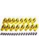 Crane Rocker Arm Gold Race 7/16 in Stud Mount 1.80 Ratio Full Roller