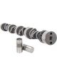 Crane Camshaft / Lifters Hydraulic Flat Tappet Lift 0.461 / 0.475 in D
