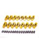 Crane Rocker Arm Gold Race 7/16 in Stud Mount 1.60 Ratio Full Roller