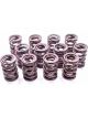 Crane Valve Spring Dual Spring 438 lb/in Spring Rate 0.950 in Coil B