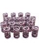 Crane Valve Spring Dual Spring 438 lb/in Spring Rate 0.950 in Coil B