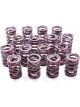Crane Valve Spring Dual Spring 290 lb/in Spring Rate 0.865 in Coil B