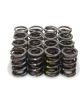 Crane Valve Spring Dual Spring 392 lb/in Spring Rate 1.035 in Coil B