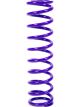 Draco Racing Coil Spring Coil-Over 1.875 in ID 10.000 in Le (DRA.L10.1.875.280)