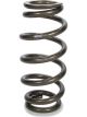 Eibach Coil Spring XT Barrel Coil-Over 2.500 to 3.000 in ID 1