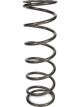Eibach Coil Spring 5.00 in ID 16 in Length 100 lb/in Spring R