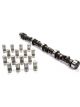 Elgin Camshaft / Lifters Street Performance Hydraulic Flat Tappet L