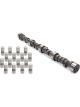 Elgin Camshaft / Lifters Street Performance Hydraulic Flat Tappet L