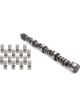Elgin Camshaft / Lifters Street Performance Hydraulic Flat Tappet L
