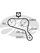 Gates PowerGrip Timing Belt