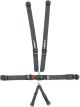 Impact Racing Harness Racer Series 6 Point Latch and Link SFI 16.1 P