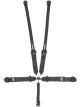 Impact Racing Harness Racer Series 5 Point Camlock SFI 16.1 Pull Dow