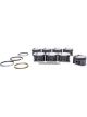 Mahle Pistons Piston and Ring PowerPak Forged 3.786 in Bore 1.0 x 1 (930204586)
