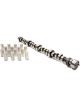 Mopar Performance Camshaft / Lifters Purple Shaft Mechanical Flat