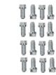 Mr Gasket Header Bolt 3/8-16 in Thread 0.750 in Long Hex Head Stainless