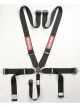 Racequip/Safequip Harness Sportsman 5 Point Camlock SFI 16.1 Pull Down