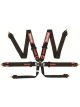 Racequip/Safequip Harness 6 Point Camlock FIA Approved Pull Down Adjus