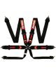 Racequip/Safequip Harness 6 Point Camlock FIA Approved Pull Up Adjust