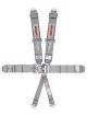 Simpson Safety Harness 6 Point Latch and Link SFI 16.5 Pull Down Adju