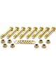 Tilton Pressure Plate Bolt Kit 5/16-24 in Thread 1.970 in long Tilto
