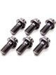 Tilton Flywheel Bolt Kit 7/16-20 in Thread 0.875 in Long 1/2 in 12 P