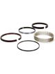 Total Seal Piston Rings TNT Gapless 4.562 in Bore File Fit 1/16 x 1/ (MT9130 5)