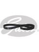 Gates PowerGrip Timing Belt
