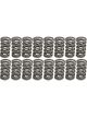 Comp Cams Valve Spring Dual Spring 427 lb/in Spring Rate 1.15 in Coi…  