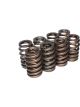 Comp Cams Valve Spring Performance Street Beehive Spring 347 lb/in Sp