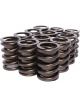 Comp Cams Valve Spring Single Spring / Damper 339 lb/in Spring Rate 1.