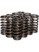 Comp Cams Valve Spring Single Spring 130 lb/in Spring Rate 0.928 in Co