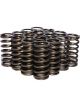 Comp Cams Valve Spring Single Spring 130 lb/in Spring Rate 0.928 in Co…  
