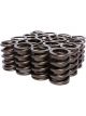 Comp Cams Valve Spring Single Spring / Damper 231 lb/in Spring Rate 1.