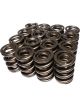 Comp Cams Valve Spring Dual Spring / Damper 580 lb/in Spring Rate 1.13