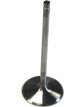 Dart Intake Valve 2.020 in Head 11/32 in Valve Stem Stainless Small