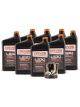 Driven Racing Oil Motor Oil LS30 5W30 Synthetic Oil Filter Included 8